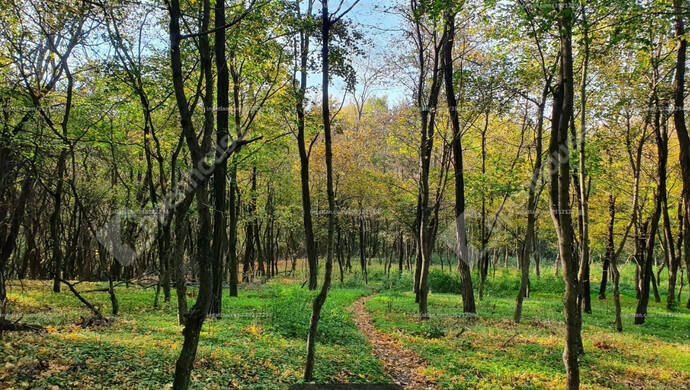 8. kép | Eladó Telek, Vértessomló (#181164)