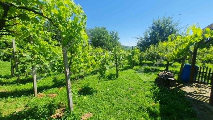 0. kép | Eladó Nyaraló, Letenye (#182031)