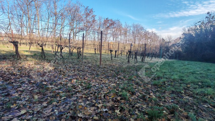 26. kép | Eladó Nyaraló, Letenye (#178652)