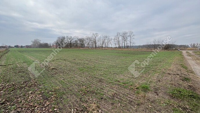 4. kép | Eladó Telek, Csévharaszt (#178902)