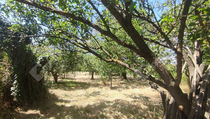 49. kép | Eladó Nyaraló, Szepetnek (#176202)