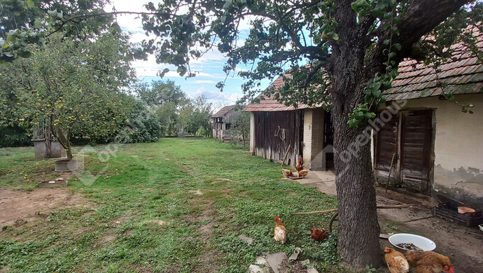 13. kép | Eladó Családi ház, Kadarkút (#176933)