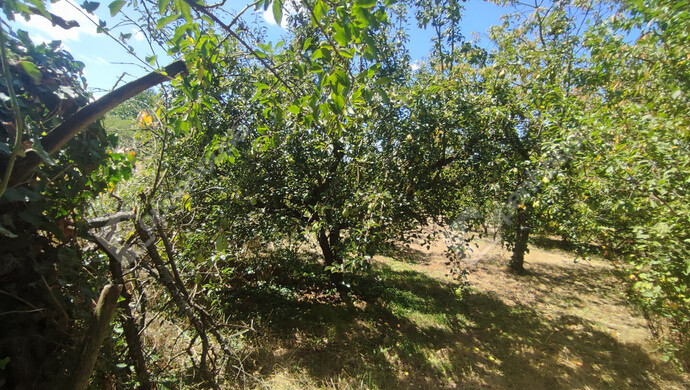 51. kép | Eladó Nyaraló, Szepetnek (#176202)