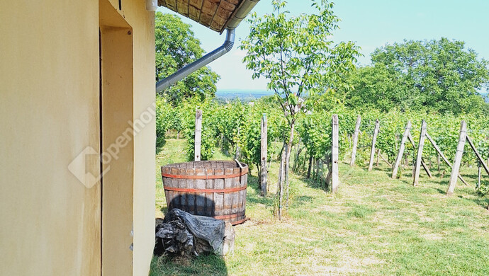 13. kép | Eladó Családi ház, Marcali (#177772)