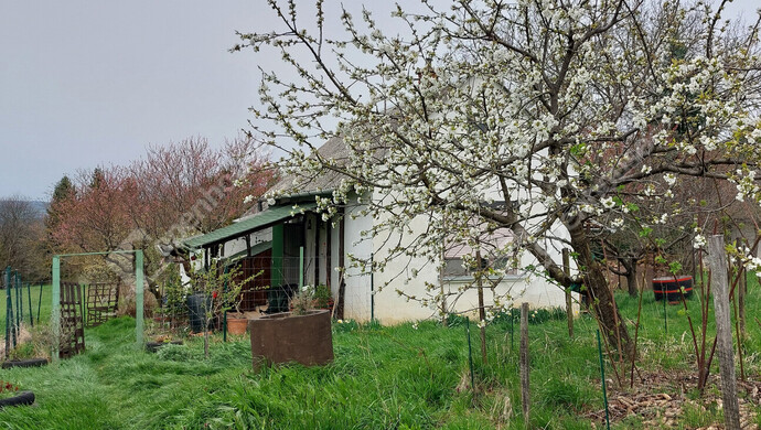 0. kép | Eladó Nyaraló, Nagykanizsa (#181407)