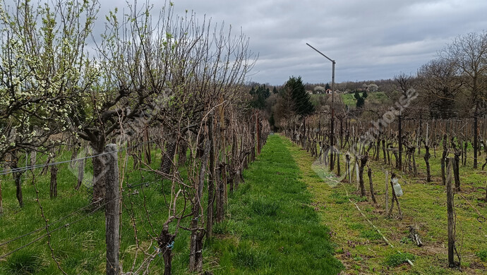 17. kép | Eladó Családi ház, Nagykanizsa (#180983)