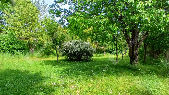 45. kép | Eladó Családi ház, Zalaegerszeg (#181501)