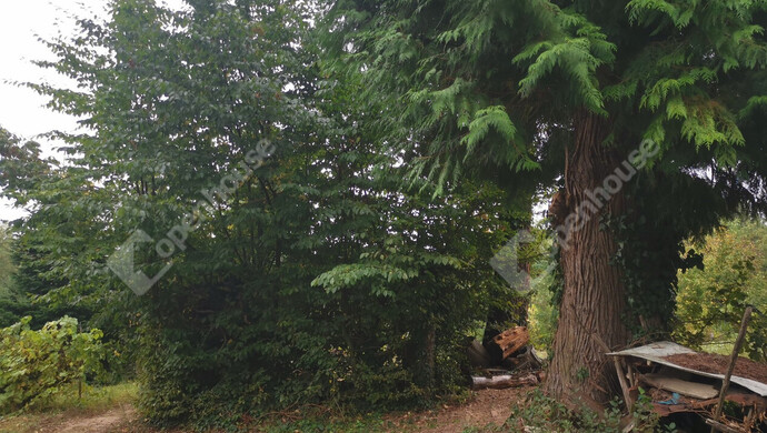 2. kép | Eladó Nyaraló, Őrtilos (#175761)