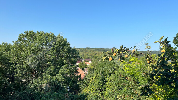 21. kép | Földszint nappali - ablak kilátás | Eladó Családi ház, Harsány (#176944)