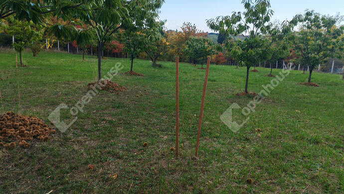 53. kép | Eladó Nyaraló, Nagykanizsa (#177970)