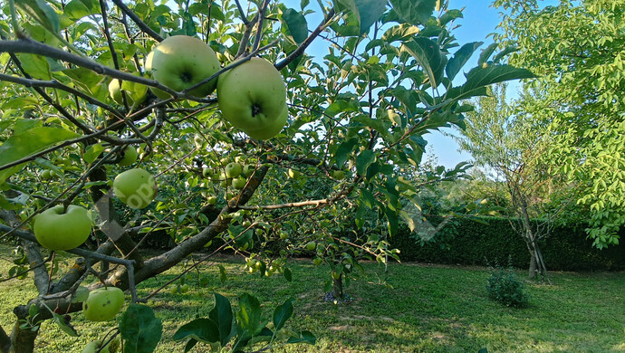 18. kép | Eladó Családi ház, Marcali (#177837)