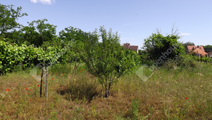 6. kép | Eladó Telek, Homokbödöge (#182220)