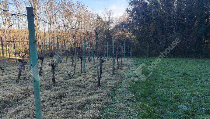 31. kép | Eladó Nyaraló, Letenye (#178652)