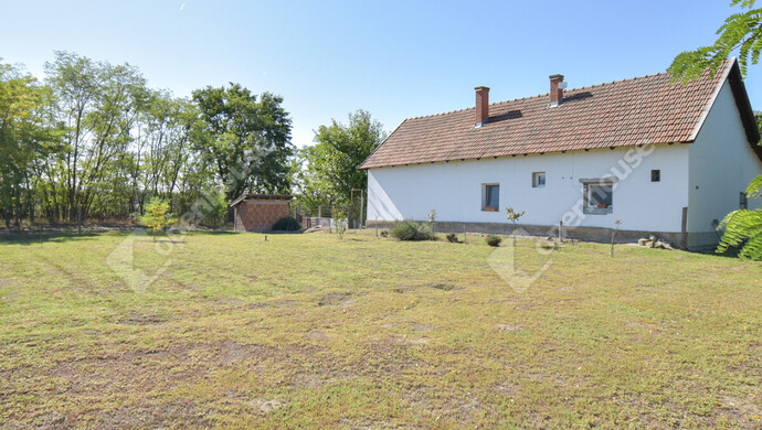 4. kép | Eladó Családi ház, Kistelek (#177150)