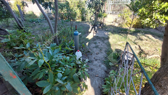 5. kép | Eladó Családi ház, Kiskunfélegyháza (#177209)