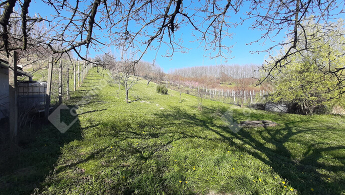 15. kép | Eladó Családi ház, Gősfa (#178305)