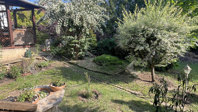 7. kép | Eladó Családi ház, Derecske (#180474)