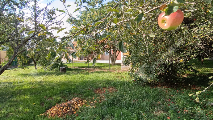 23. kép | Eladó Családi ház, Letenye (#177130)