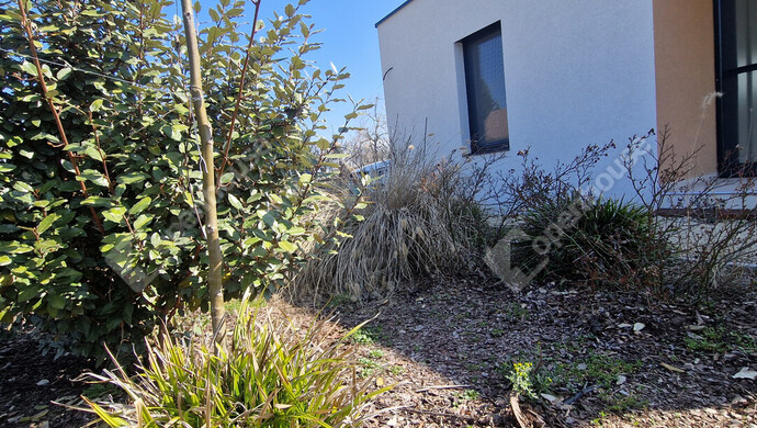 8. kép | Eladó Családi ház, Siófok (#180357)