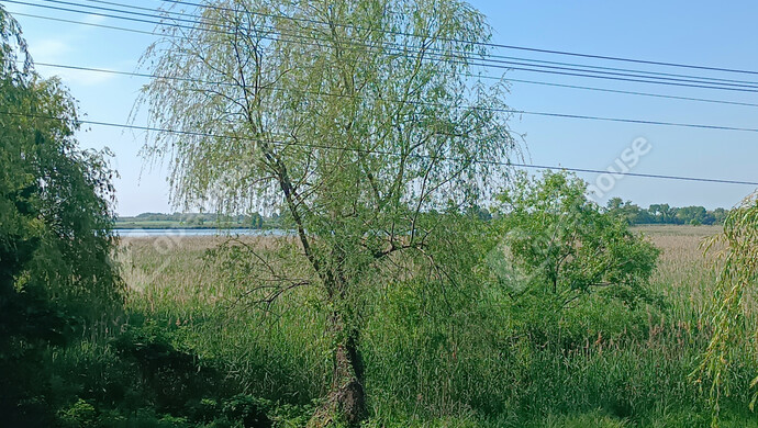 44. kép | Eladó Családi ház, Fonyód (#177696)