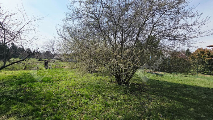 4. kép | Székesfehérvár eladó telek | Eladó Telek, Székesfehérvár (#180413)