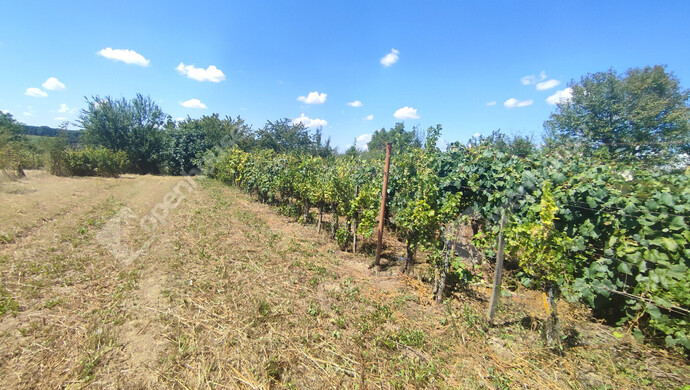 14. kép | Eladó Nyaraló, Szepetnek (#176202)