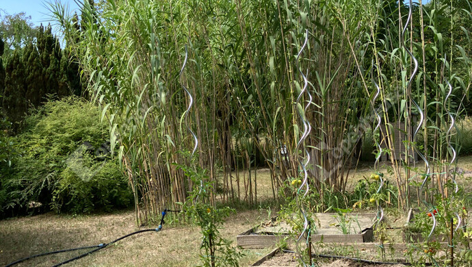 22. kép | Eladó Zárt kert, Bőny (#180133)