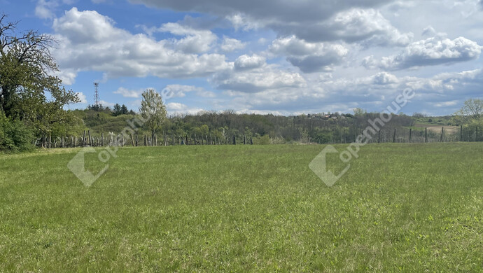 11. kép | Eladó Családi ház, Balatonberény (#177700)