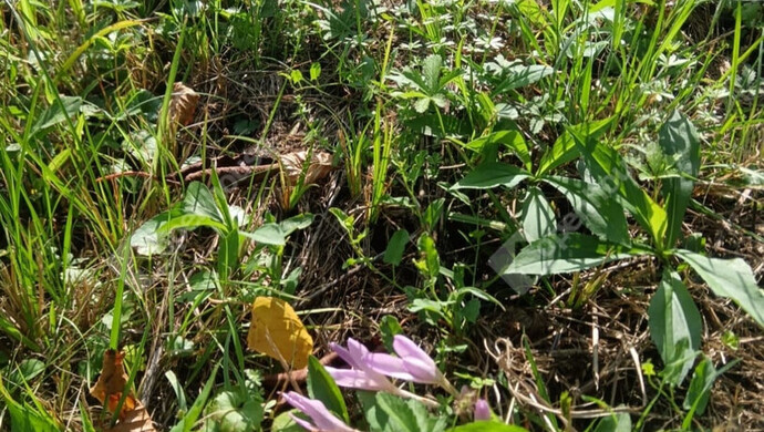 21. kép | Eladó Családi ház, Szilvágy (#178519)