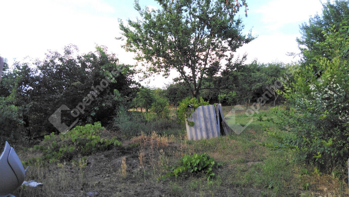 12. kép | Eladó Családi ház, Ászár (#177054)