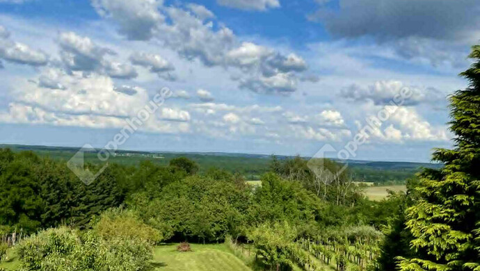 21. kép | Eladó Családi ház, Lenti (#178370)