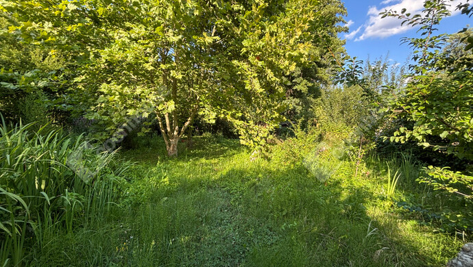 37. kép | Eladó Családi ház, Kaposvár (#183251)