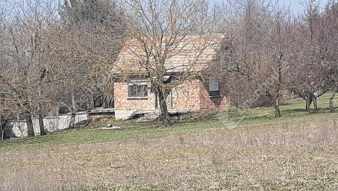 37. kép | Eladó Zárt kert, Sand (#180348)