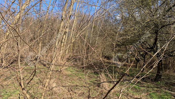 11. kép | Eladó Nyaraló, Homokkomárom (#179898)