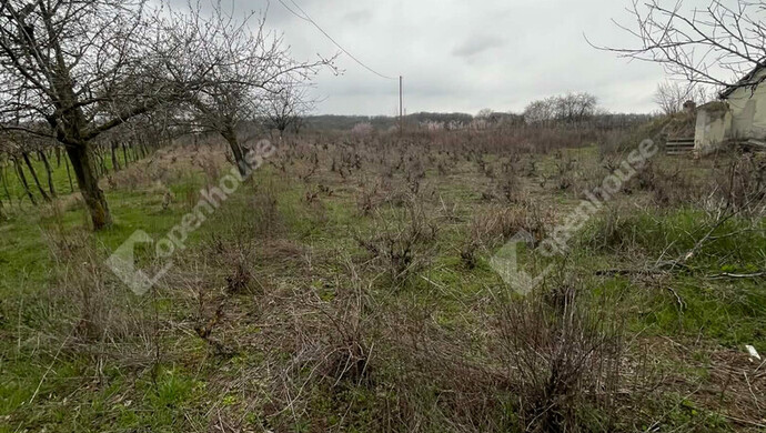 2. kép | Eladó Zárt kert, Simontornya (#180683)