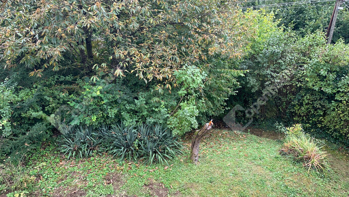 13. kép | Eladó Nyaraló, Kőszeg (#177306)