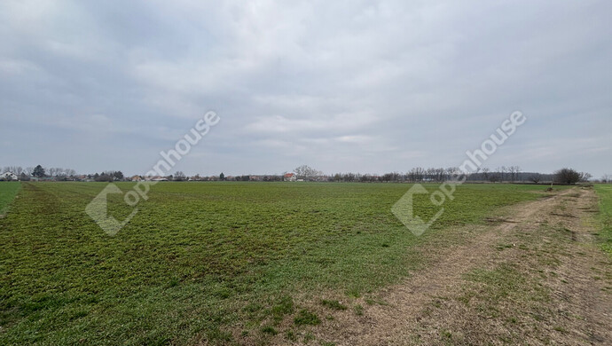 0. kép | Eladó Telek, Csévharaszt (#178898)