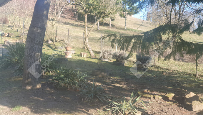 26. kép | Eladó Nyaraló, Homokkomárom (#180173)