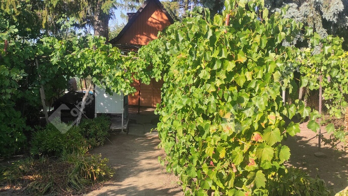 8. kép | Eladó Zárt kert, Szeged (#176754)