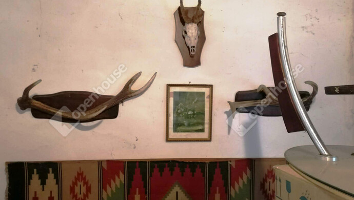 13. kép | Eladó Nyaraló, Pacsa (#179392)