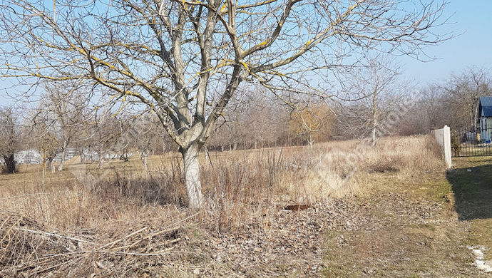 0. kép | Eladó Telek, Szeged (#173684)