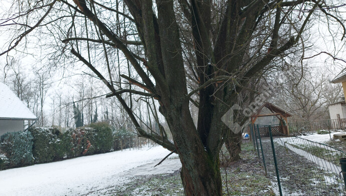 49. kép | Eladó Családi ház, Szőlősgyörök (#179158)