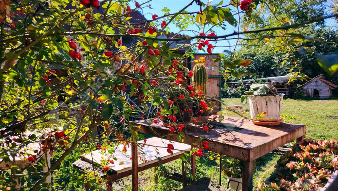 10. kép | Szabadbattyán eladó családi ház | Eladó Családi ház, Szabadbattyán (#177254)