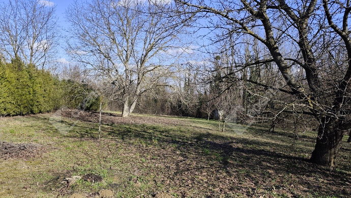 25. kép | Eladó Családi ház, Zalakaros (#180399)