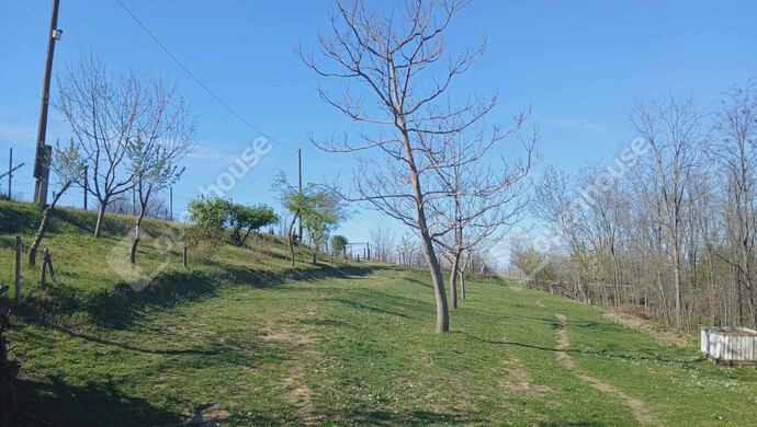 10. kép | Eladó Zárt kert, Ságvár (#177157)