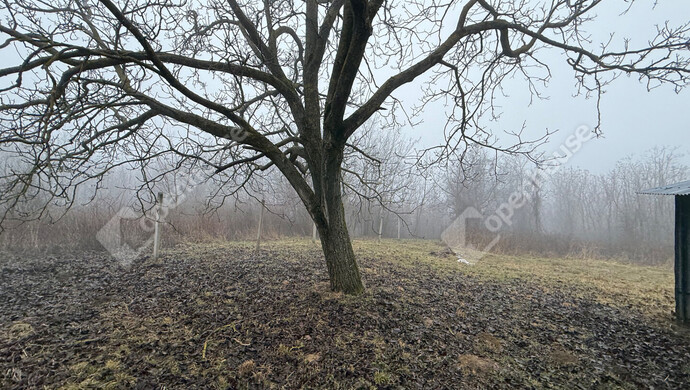 14. kép | Eladó Zárt kert, Gyűrűs (#179596)