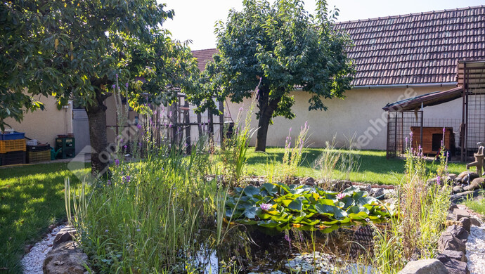 12. kép | Eladó Családi ház, Debrecen (#183588)