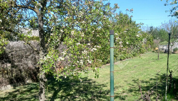 1. kép | Eladó Zárt kert, Győr (#176878)