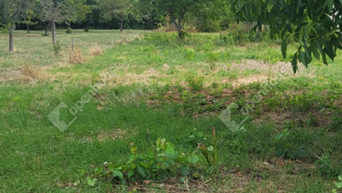 5. kép | Eladó Telek, Szeged (#176474)