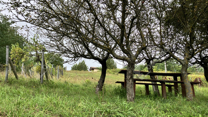 3. kép | Eladó Zárt kert,  (#177177)